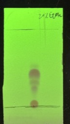 v103p0035-17.jpg